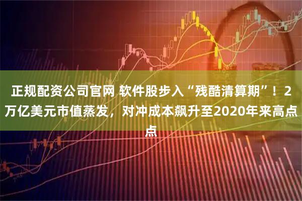 正规配资公司官网 软件股步入“残酷清算期”！2万亿美元市值蒸发，对冲成本飙升至2020年来高点