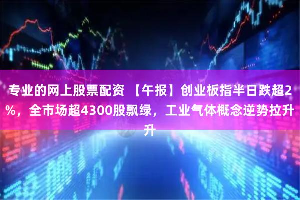 专业的网上股票配资 【午报】创业板指半日跌超2%，全市场超4300股飘绿，工业气体概念逆势拉升