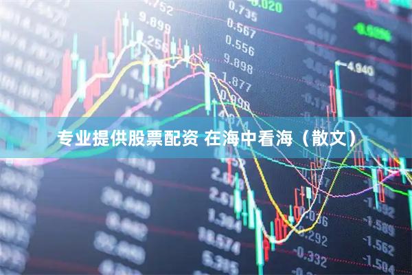 专业提供股票配资 在海中看海(散文)