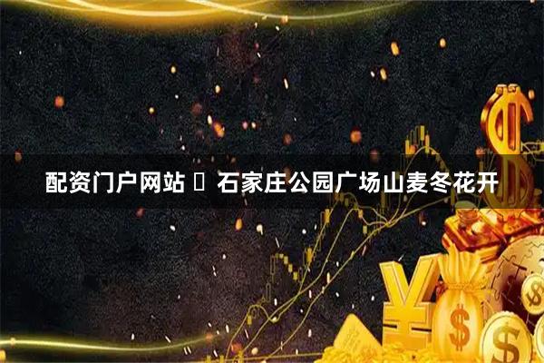 配资门户网站 石家庄公园广场山麦冬花开